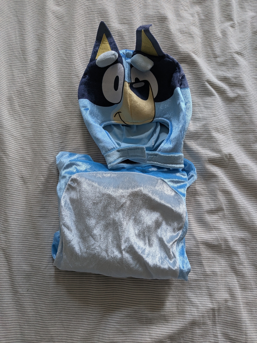 Bluey Kids 4T 5T Hooded Costume